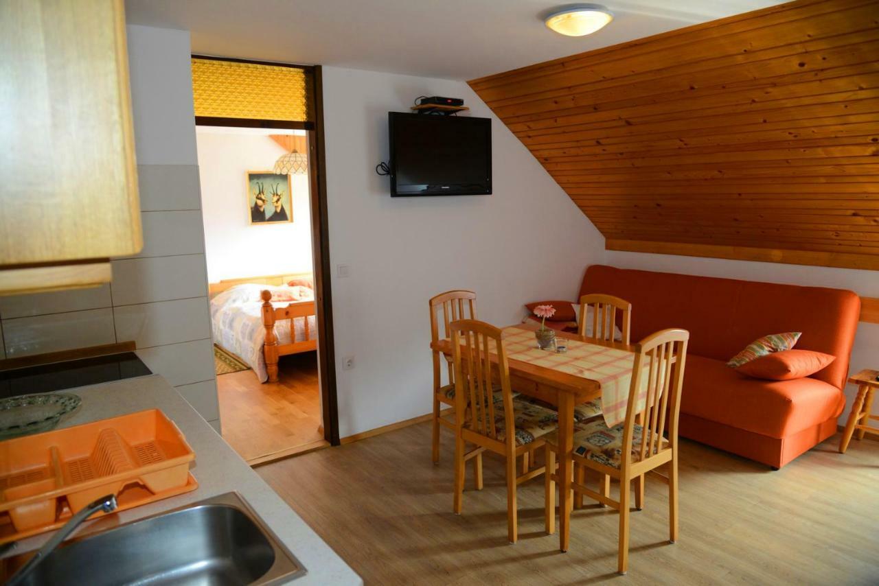 Apartmaji Rabic Bohinj Ngoại thất bức ảnh